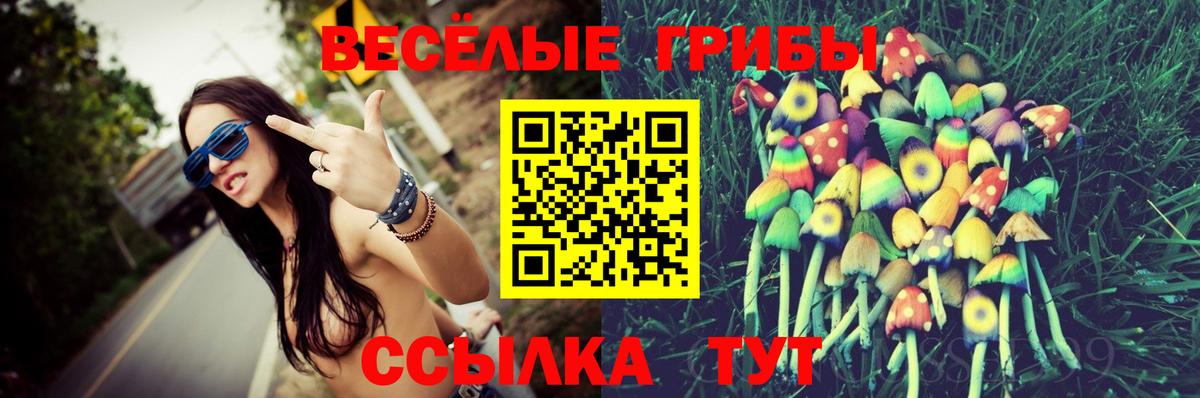 что такое наркотик  Псилоцибиновые грибы мицелий  Вход с VPN  Ржев 
