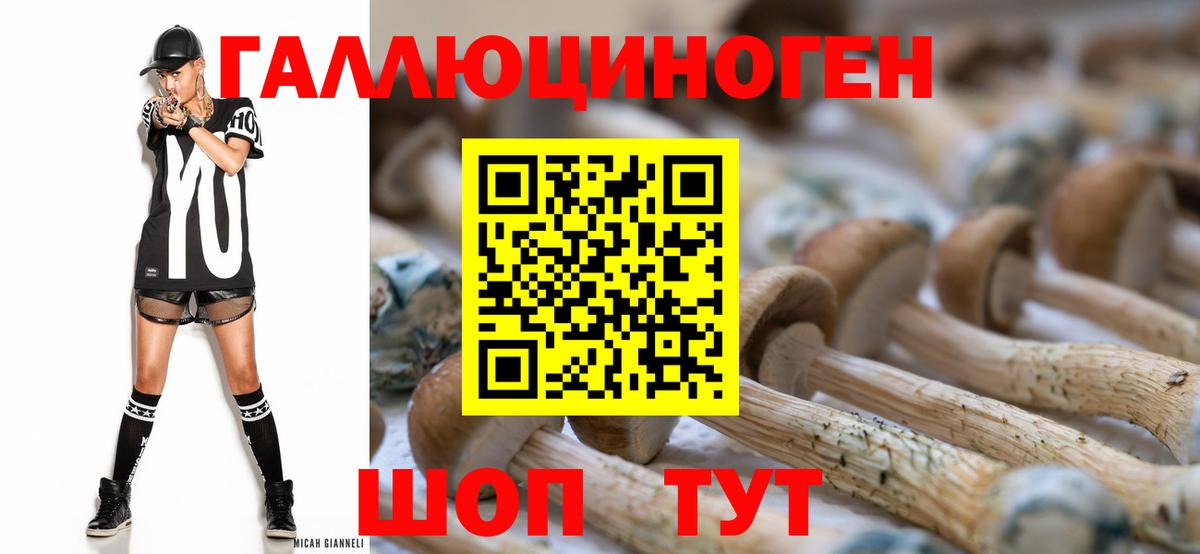 Галлюциногенные грибы MAGIC MUSHROOMS Ржев